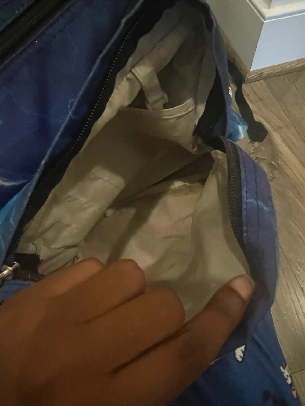 JanSport Blue Lightning Print Backpack